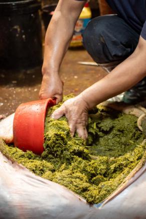 中国最“奇葩”的重口美食，连螺蛳粉都甘拜下风！！！