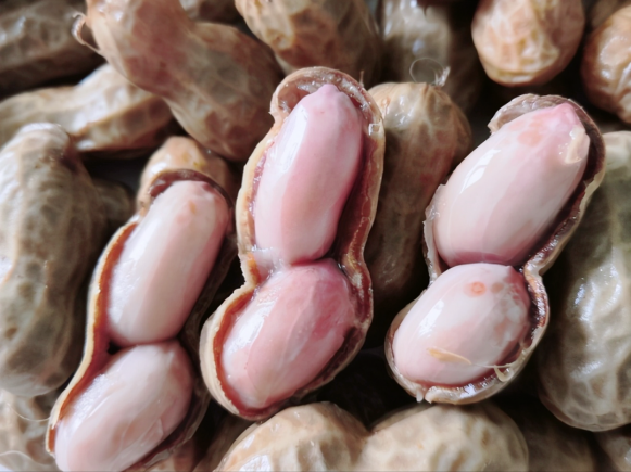 当餐盐水花生的商用配方