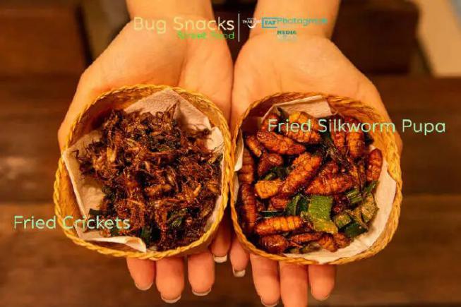 去清迈?照着这个美食盛宴菜单点!