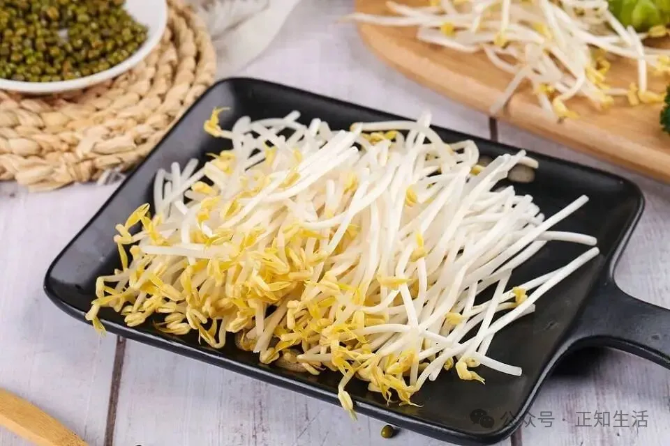 春季必吃「超级生命力食材」！鲜嫩芽苗菜，应季吃正合适