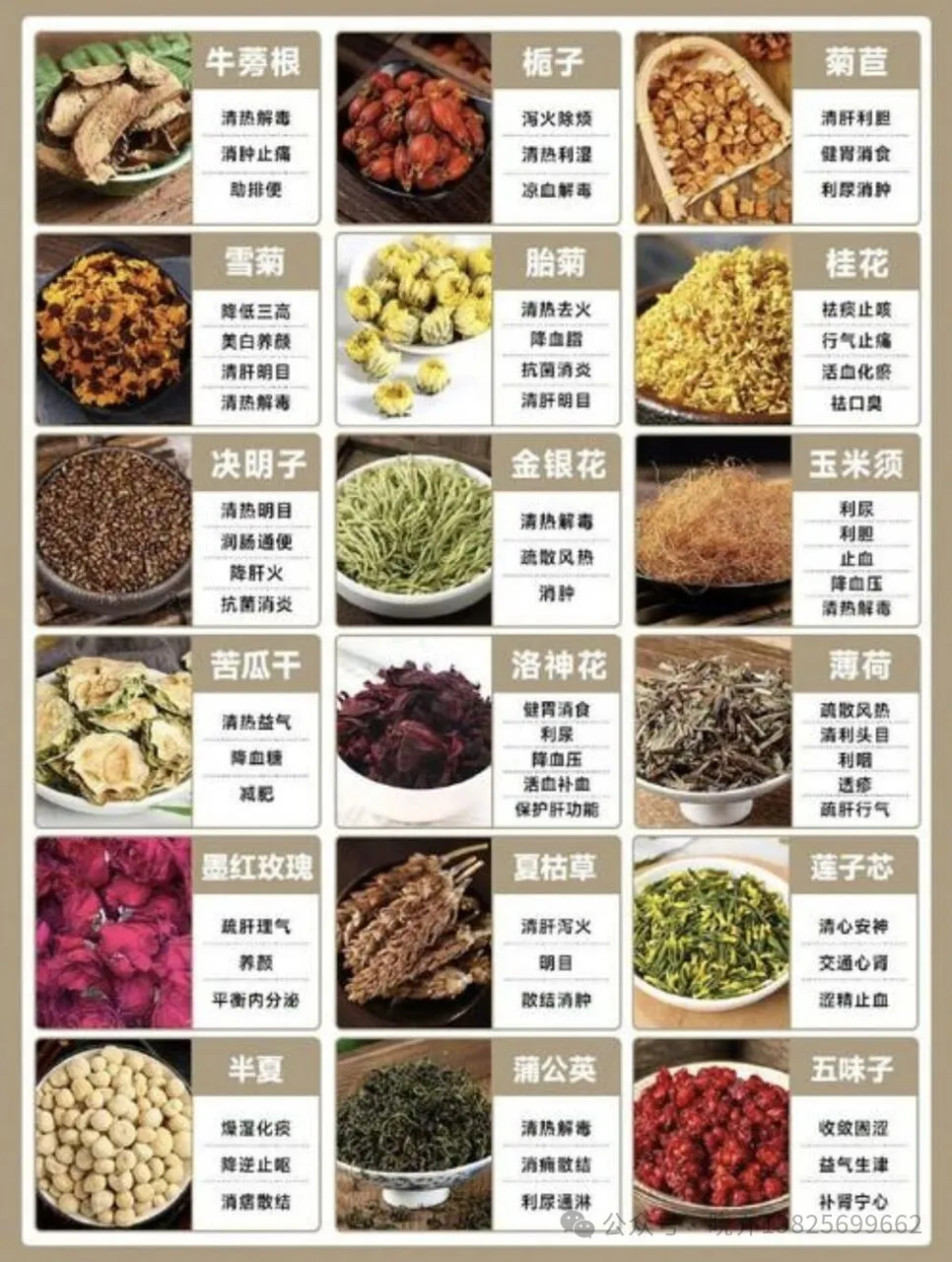 广东祛湿食材盘点