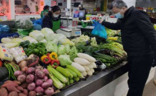 食材供应链价值提升策略