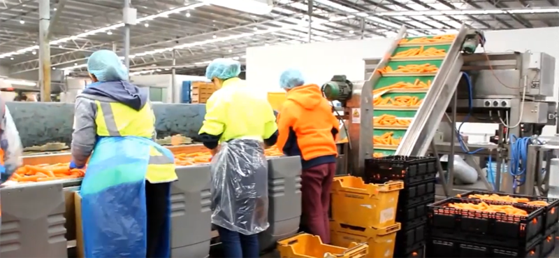 农产品文旅供应链融合方案