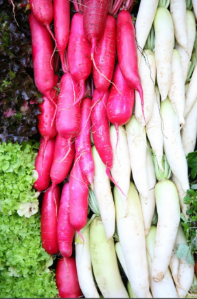 萝卜作为中国传统的药食同源蔬菜，享有"秋冬小人参"的美誉。