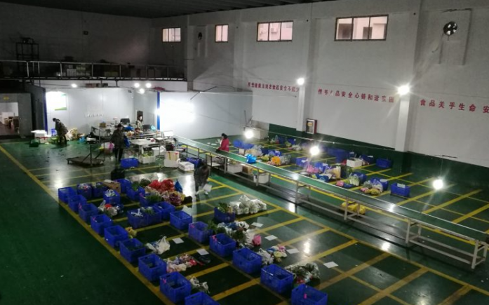 生鲜供应链从田间到餐桌的智慧之旅