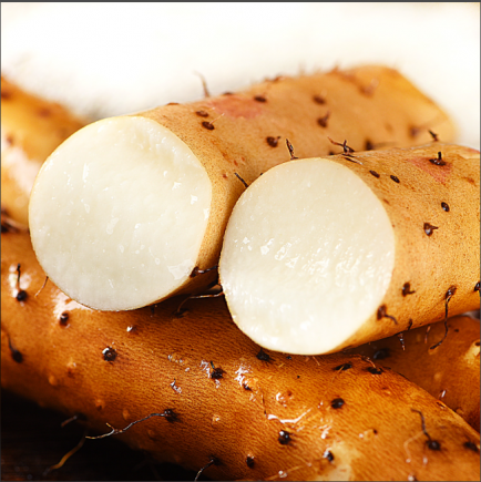 这个铁棍不好看，但"它“是真的好吃