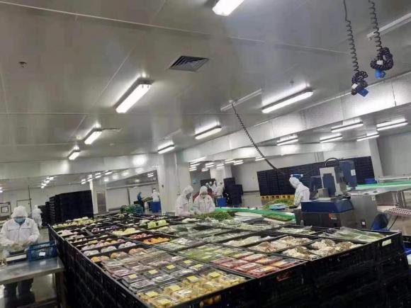 食材供应链细分品类研究