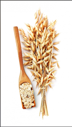 健康饮食，燕麦当选第一