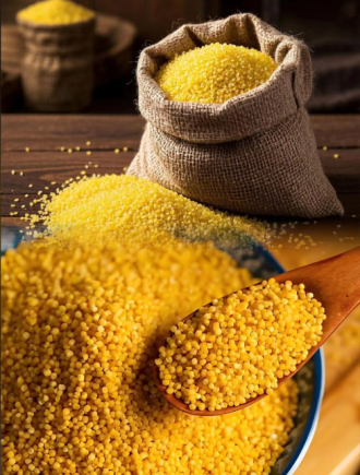 小米海参里面的小米原来作用这么大