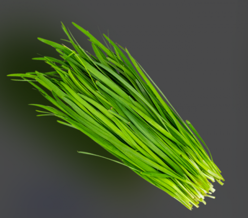 韭菜被誉为"春季第一菜"和"起阳草"