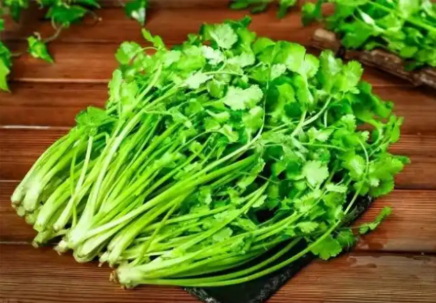 香菜（学名：芫荽，Coriandrum sativum L.）作为一种兼具调味与药用价值的植物