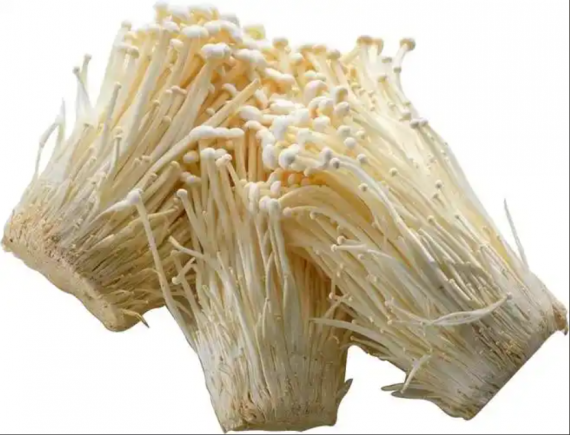 金针菇的营养价值与健康功效研究