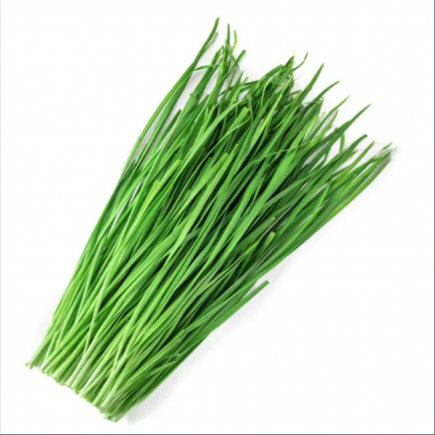 韭菜被誉为"春季第一菜"和"起阳草"