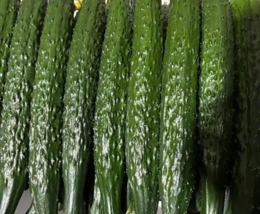 黄瓜作为一种日常饮食中常见的蔬菜，虽然外表普通、价格亲民，但其营养价值远超普通人的想象。