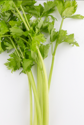 芹菜有药用价值