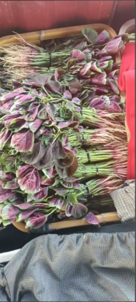 苋菜，作为"夏季第一菜"和"长寿菜"