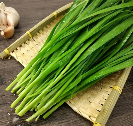 韭菜被誉为"春季第一菜"和"起阳草"