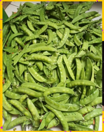 荷兰豆作为一种营养丰富的时令蔬菜，其营养价值与食用方法密切相关