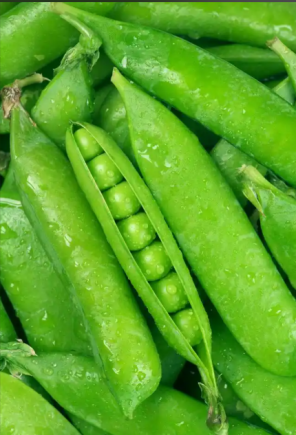 小小豌豆，除了当射手以外，原来还可以....