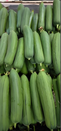 水瓜，又称丝瓜、菜瓜或天罗瓜，是夏季盛产的低热量高水分蔬菜