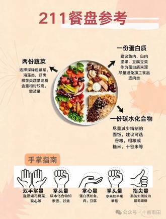 哈佛211餐盘饮食法|均衡饮食 健康减脂