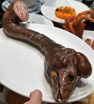 澄海狮头鹅。美食界的“爱马仕”