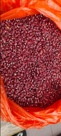 小小的豆子，原来还能这样