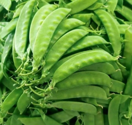 荷兰豆作为一种营养丰富的时令蔬菜，其营养价值与食用方法密切相关