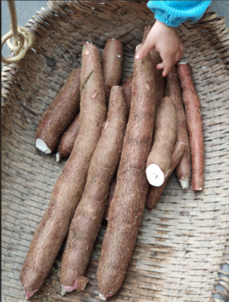 不是吧，这木薯是可以这么好吃