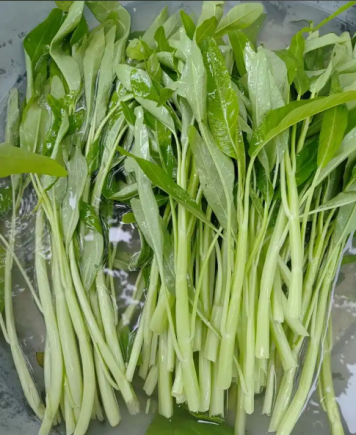 空心菜，学名紫色空心菜（Ipomoea aquatica），又称通心菜、藤藤菜