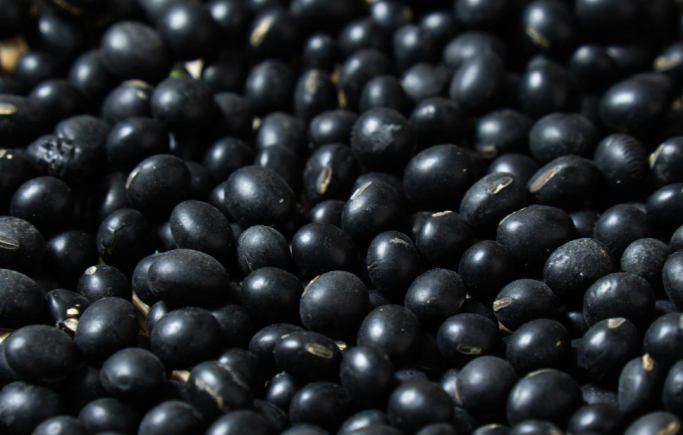 小小黑豆，又好吃又有营养