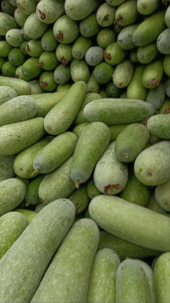 冬瓜，这种外表朴实无华却内含丰富营养的瓜类蔬菜，已成为现代健康饮食中的"隐形冠军"