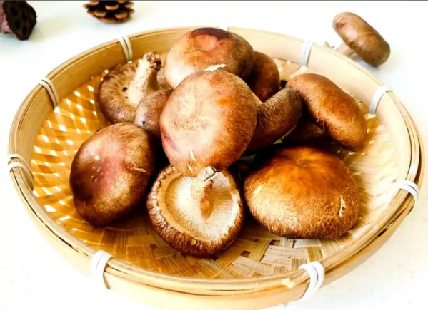 香菇作为中国传统的"山珍"之一,是蕴含丰富营养与多种生物活性物质的健康食材