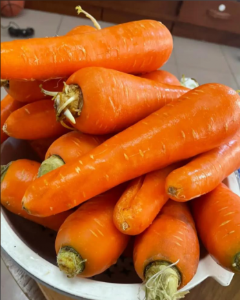 胡萝卜作为一种常见且营养丰富的蔬菜，被誉为"维生素A的宝库"和"天然的抗氧化剂工厂"。