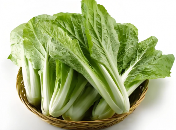 小白菜，又称青菜、油白菜、胶菜