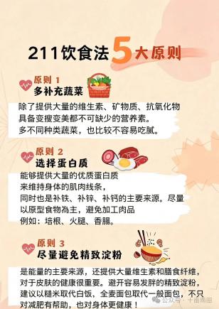 哈佛211餐盘饮食法|均衡饮食 健康减脂