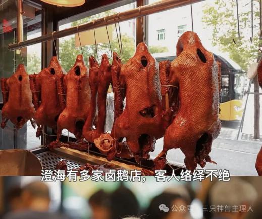 澄海狮头鹅。美食界的“爱马仕”