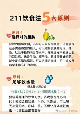 哈佛211餐盘饮食法|均衡饮食 健康减脂