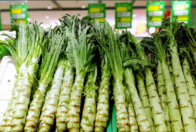 莴苣（又称莴笋、青笋、千金菜）是一种营养密度极高的蔬菜