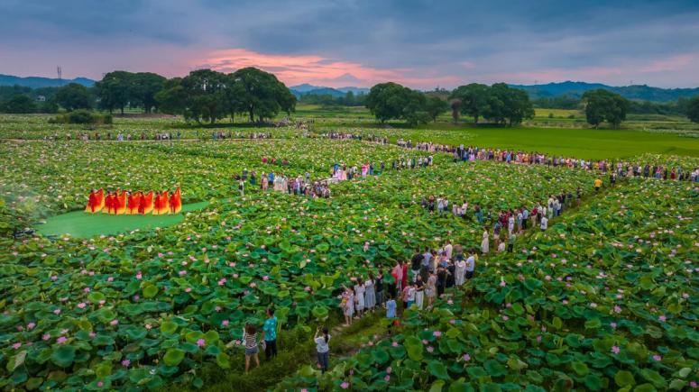 莲乡臻品·美食｜全莲宴