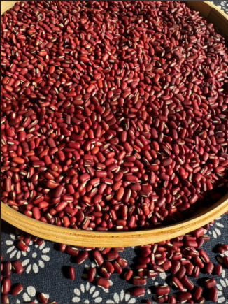 小小的豆子，原来还能这样