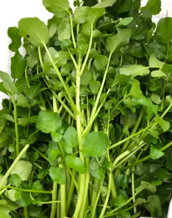 西洋菜，学名Nasturtium officinale，又称豆瓣菜、水田芥、水芥菜