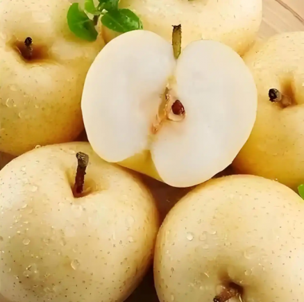 梨作为"百果之宗"，在我国已有3000多年的栽培历史，目前产量位居世界首位