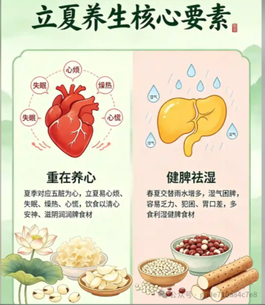 立夏饮食养生的五大核心原则
