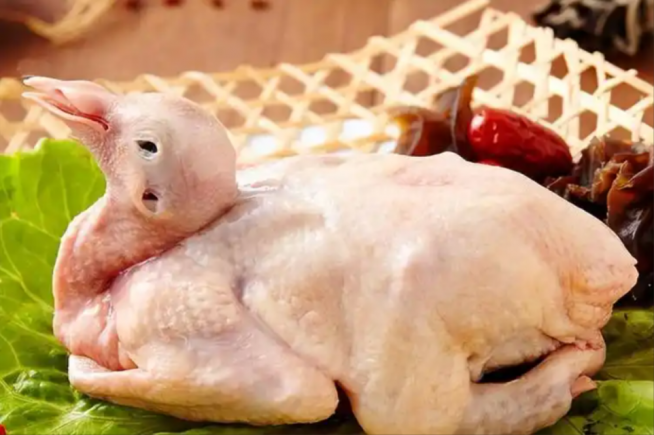 鸽子肉的营养价值
