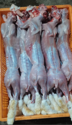 兔肉的营养价值：被低估的“瘦肉之王”