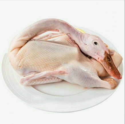 鹅肉的营养价值