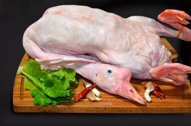 鹅肉的营养价值